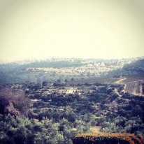 View from Kibbutz Tzuba  Picture by Rachel Shuster